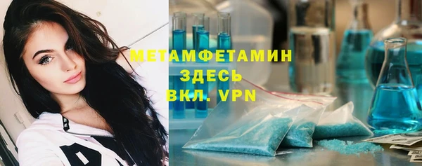 индика Алексеевка