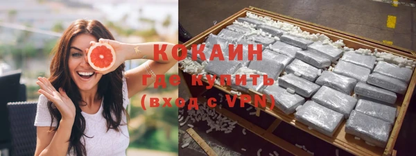 соль ск Алексин